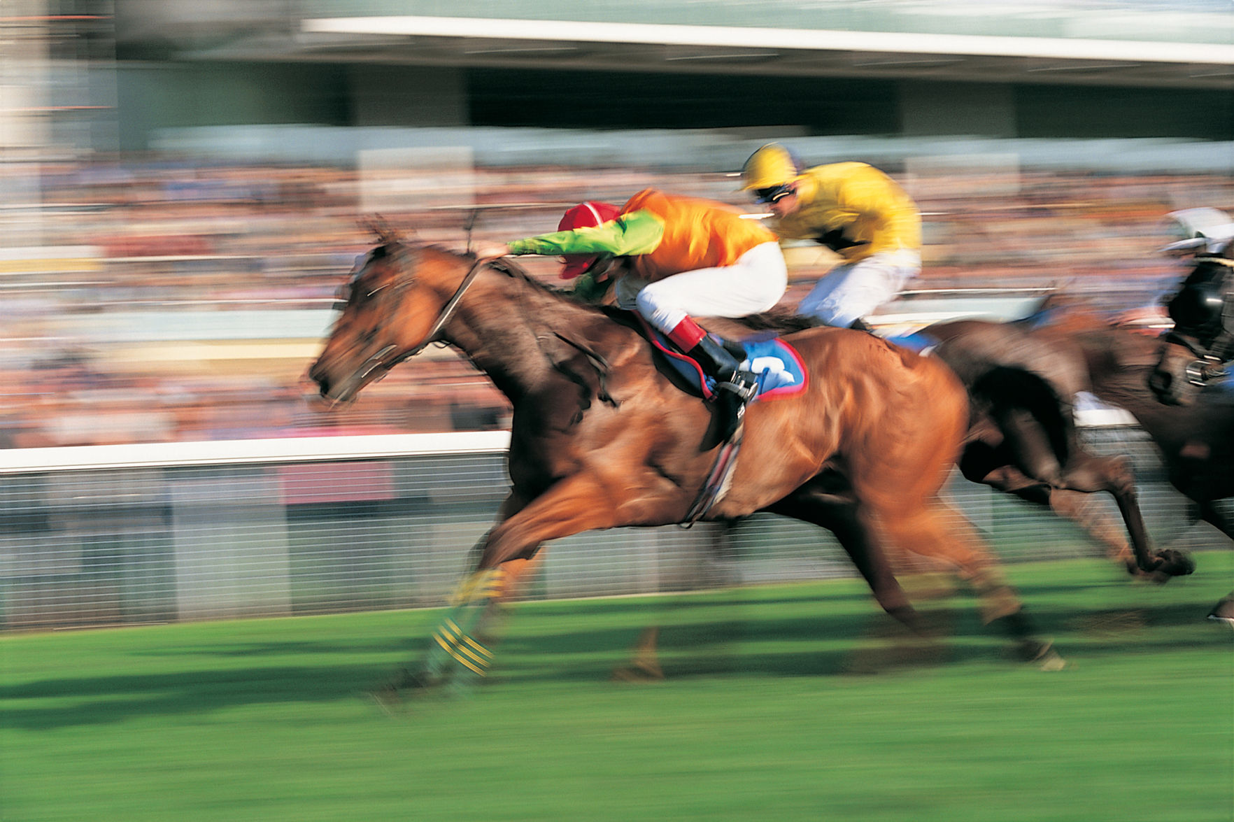 Horse Race
